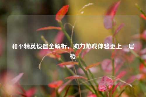 和平精英设置全解析,助力游戏体验更上一层楼