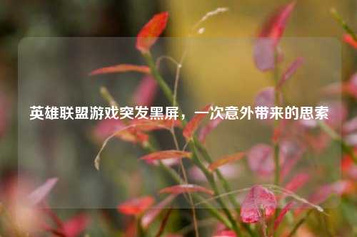 英雄联盟游戏突发黑屏,一次意外带来的思索