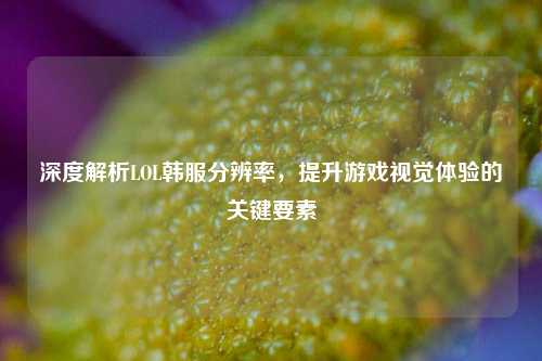 深度解析LOL韩服分辨率,提升游戏视觉体验的关键要素
