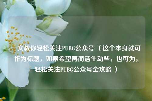 一文教你轻松关注PUBG公众号 (这个本身就可作为标题,如果希望再简洁生动些,也可为,轻松关注PUBG公众号全攻略 )