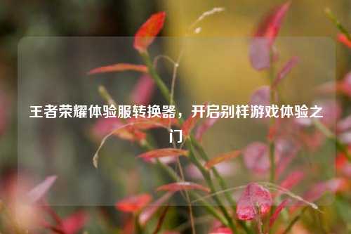 王者荣耀体验服转换器,开启别样游戏体验之门