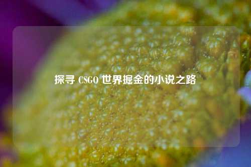 探寻 CSGO 世界掘金的小说之路
