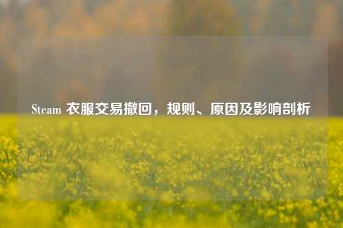 Steam 衣服交易撤回,规则、原因及影响剖析