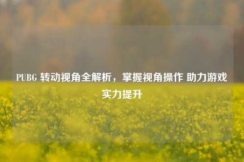 PUBG 转动视角全解析,掌握视角操作 助力游戏实力提升