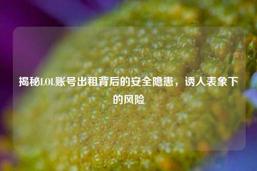揭秘LOL账号出租背后的安全隐患,诱人表象下的风险