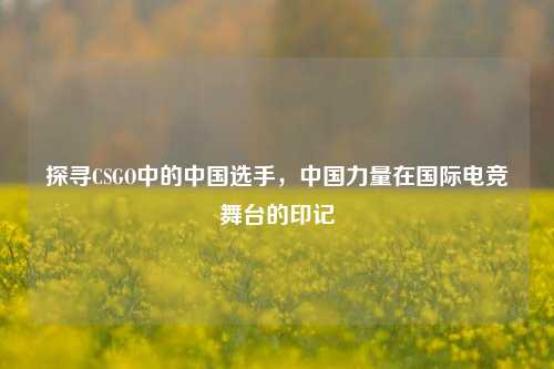 探寻CSGO中的中国选手,中国力量在国际电竞舞台的印记
