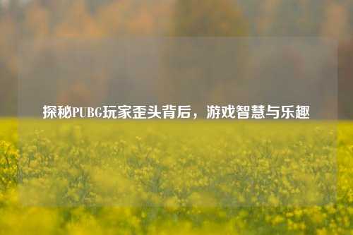 探秘PUBG玩家歪头背后,游戏智慧与乐趣