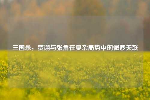三国杀,贾诩与张角在复杂局势中的微妙关联
