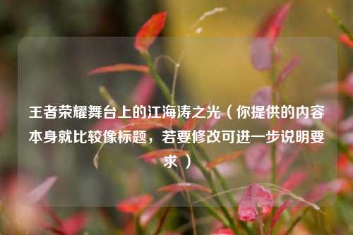 王者荣耀舞台上的江海涛之光(你提供的内容本身就比较像标题,若要修改可进一步说明要求 )