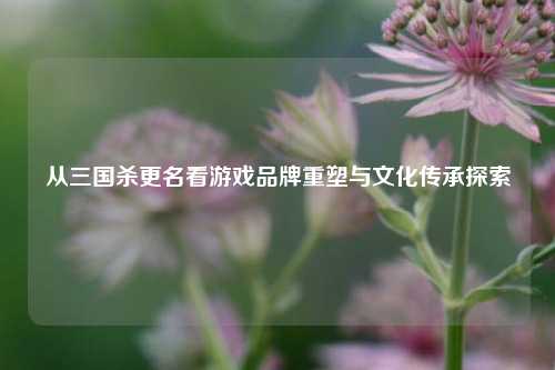 从三国杀更名看游戏品牌重塑与文化传承探索