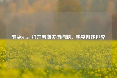 解决Steam打开瞬间关闭问题,畅享游戏世界