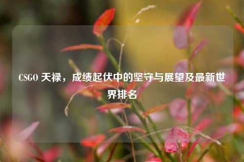 CSGO 天禄,成绩起伏中的坚守与展望及最新世界排名
