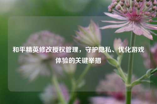 和平精英修改授权管理,守护隐私、优化游戏体验的关键举措