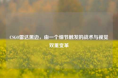 CSGO雷达黑边,由一个细节触发的战术与视觉双重变革