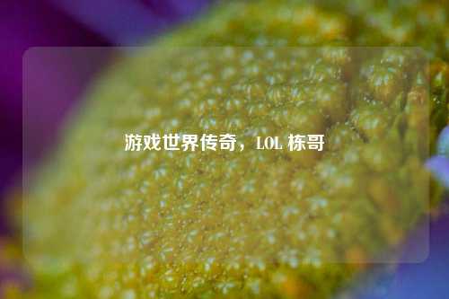 游戏世界传奇,LOL 栋哥