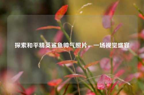 探索和平精英鲨鱼帅气照片,一场视觉盛宴