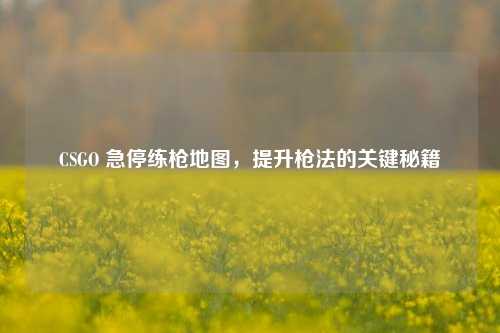 CSGO 急停练枪地图,提升枪法的关键秘籍