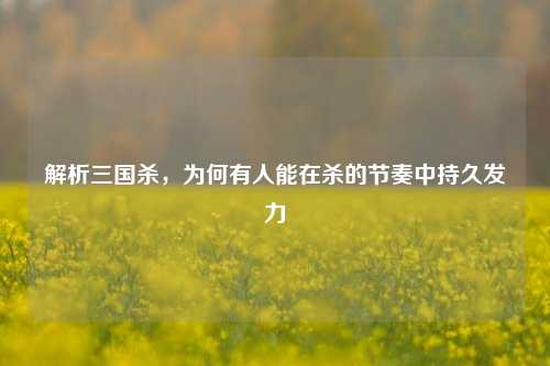 解析三国杀,为何有人能在杀的节奏中持久发力
