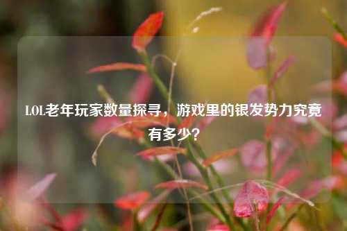 LOL老年玩家数量探寻,游戏里的银发势力究竟有多少?