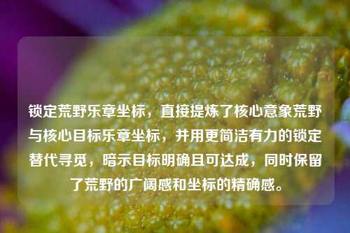 锁定荒野乐章坐标,直接提炼了核心意象荒野与核心目标乐章坐标,并用更简洁有力的锁定替代寻觅,暗示目标明确且可达成,同时保留了荒野的广阔感和坐标的精确感。
