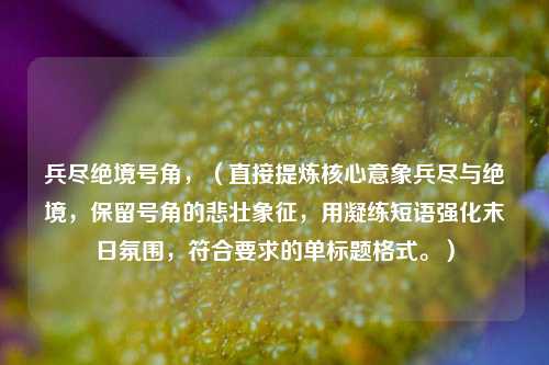 兵尽绝境号角,(直接提炼核心意象兵尽与绝境,保留号角的悲壮象征,用凝练短语强化末日氛围,符合要求的单标题格式。)