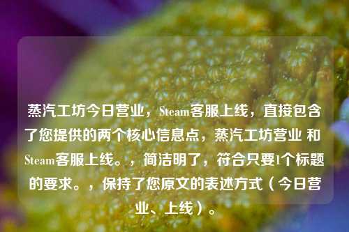 蒸汽工坊今日营业,Steam *** 上线,直接包含了您提供的两个核心信息点,蒸汽工坊营业 和 Steam *** 上线。,简洁明了,符合只要1个标题的要求。,保持了您原文的表述方式(今日营业、上线)。