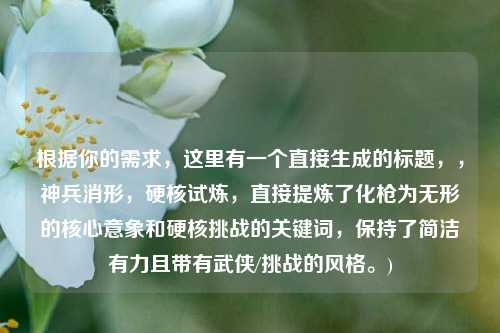 根据你的需求,这里有一个直接生成的标题,,神兵消形,硬核试炼,直接提炼了化枪为无形的核心意象和硬核挑战的关键词,保持了简洁有力且带有武侠/挑战的风格。)