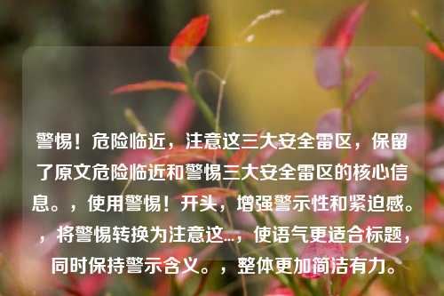 警惕!危险临近,注意这三大安全雷区,保留了原文危险临近和警惕三大安全雷区的核心信息。,使用警惕!开头,增强警示性和紧迫感。,将警惕转换为注意这...,使语气更适合标题,同时保持警示含义。,整体更加简洁有力。