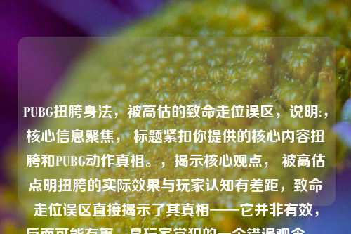 PUBG扭胯身法,被高估的致命走位误区,说明:,核心信息聚焦, 标题紧扣你提供的核心内容扭胯和PUBG动作真相。,揭示核心观点, 被高估点明扭胯的实际效果与玩家认知有差距,致命走位误区直接揭示了其真相——它并非有效,反而可能有害,是玩家常犯的一个错误观念。,吸引目标读者, 使用了游戏玩家熟悉的术语身法、走位,能迅速吸引PUBG玩家注意。,简洁有力, 长度适中,信息明确,能够激发读者想要了解为什么是误区的兴趣。