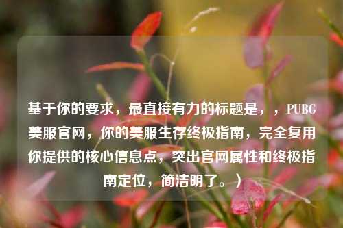 基于你的要求,最直接有力的标题是,,PUBG美服官网,你的美服生存终极指南,完全复用你提供的核心信息点,突出官网属性和终极指南定位,简洁明了。)