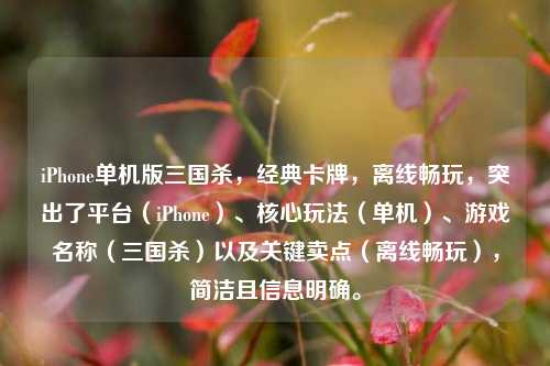 iPhone单机版三国杀,经典卡牌,离线畅玩,突出了平台(iPhone)、核心玩法(单机)、游戏名称(三国杀)以及关键卖点(离线畅玩),简洁且信息明确。