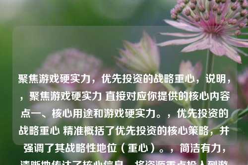 聚焦游戏硬实力,优先投资的战略重心,说明,,聚焦游戏硬实力 直接对应你提供的核心内容点一、核心用途和游戏硬实力。,优先投资的战略重心 精准概括了优先投资的核心策略,并强调了其战略性地位(重心)。,简洁有力,清晰地传达了核心信息,将资源重点投入到游戏硬实力的建设上。