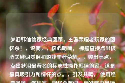 梦泪韩信偷家经典回顾,王者荣耀老玩家的回忆杀!,说明,,核心明确, 标题直接点出核心关键词梦泪和游戏王者荣耀。,突出亮点, 点出梦泪最著名的标志性操作韩信偷家,这是更具吸引力和情怀的点。,引发共鸣, 使用经典回顾、老玩家、回忆杀等词,精准戳中目标观众(老玩家)的情怀。,吸引力强, 回忆杀和感叹号能激发观众的怀旧情绪和点击欲。
