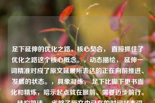 足下延伸的优化之路,核心契合, 直接抓住了优化之路这个核心概念。,动态描绘, 延伸一词精准对应了原文延展所表达的正在向前推进、发展的状态。,具象凝练, 足下比脚下更书面化和精炼,暗示起点就在眼前、需要迈步前行。,结构简洁, 省略了原文中已在的时间状态词,让标题更紧凑有力,同时延伸本身就包含了正在进行的意思。,它高度浓缩了原句的精髓,表达了优化进程已经开始并正在持续向前发展的核心含义。