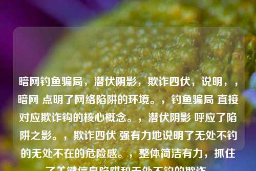 暗网钓鱼骗局,潜伏阴影,欺诈四伏,说明,,暗网 点明了 *** 陷阱的环境。,钓鱼骗局 直接对应欺诈钩的核心概念。,潜伏阴影 呼应了陷阱之影。,欺诈四伏 强有力地说明了无处不钓的无处不在的危险感。,整体简洁有力,抓住了关键信息陷阱和无处不钓的欺诈。