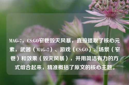 MAG-7,CS:GO窄巷毁灭风暴,直接提取了核心元素,武器(MAG-7)、游戏(CS:GO)、场景(窄巷)和效果(毁灭风暴),并用简洁有力的方式组合起来,精准概括了原文的核心主题。