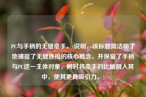 PC与手柄的无缝牵手,(说明,该标题简洁明了地捕捉了无缝连接的核心概念,并保留了手柄与PC这一主体对象,同时将牵手的比喻融入其中,使其更具吸引力。)