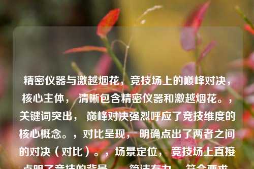 精密仪器与激越烟花,竞技场上的巅峰对决,核心主体, 清晰包含精密仪器和激越烟花。,关键词突出, 巅峰对决强烈呼应了竞技维度的核心概念。,对比呈现, 明确点出了两者之间的对决(对比)。,场景定位, 竞技场上直接点明了竞技的背景。,简洁有力, 符合要求,只有一个标题,且用词凝练,富有张力。
