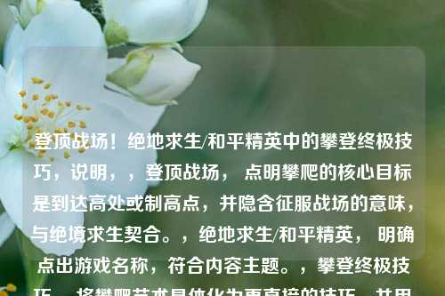 登顶战场!绝地求生/和平精英中的攀登终极技巧,说明,,登顶战场, 点明攀爬的核心目标是到达高处或制高点,并隐含征服战场的意味,与绝境求生契合。,绝地求生/和平精英, 明确点出游戏名称,符合内容主题。,攀登终极技巧, 将攀爬艺术具体化为更直接的技巧,并用终极强调其重要性和深度,吸引玩家学习。整个标题简洁有力,突出核心内容和游戏对象。