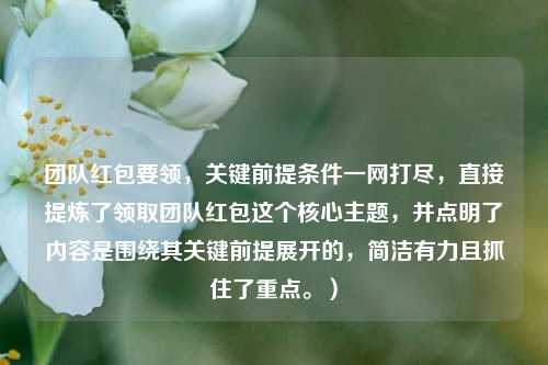 团队红包要领,关键前提条件一网打尽,直接提炼了领取团队红包这个核心主题,并点明了内容是围绕其关键前提展开的,简洁有力且抓住了重点。)