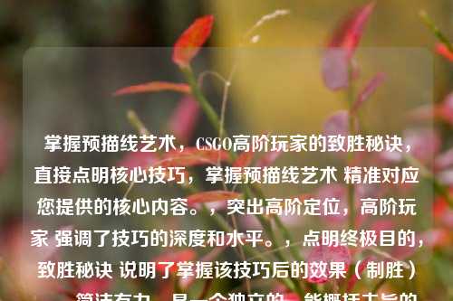 掌握预描线艺术,CSGO高阶玩家的致胜秘诀,直接点明核心技巧,掌握预描线艺术 精准对应您提供的核心内容。,突出高阶定位,高阶玩家 强调了技巧的深度和水平。,点明终极目的,致胜秘诀 说明了掌握该技巧后的效果(制胜)。,简洁有力,是一个独立的、能概括主旨的标题。