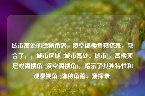 城市高处的隐秘角落,凌空阁楼角窥探录,融合了,,城市区域 (城市高处、城市),高楼顶层或阁楼角 (凌空阁楼角),暗示了其独特性和观察视角 (隐秘角落、窥探录)
