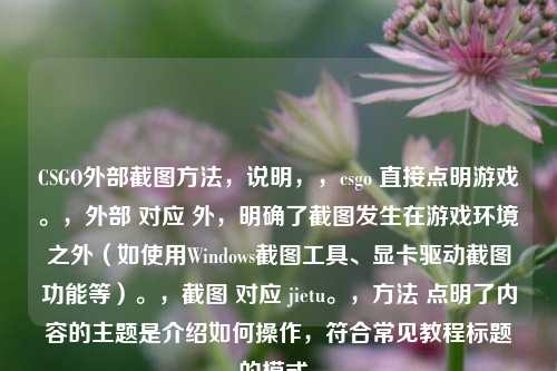 CSGO外部截图 *** ,说明,,csgo 直接点明游戏。,外部 对应 外,明确了截图发生在游戏环境之外(如使用Windows截图工具、显卡驱动截图功能等)。,截图 对应 jietu。, *** 点明了内容的主题是介绍如何操作,符合常见教程标题的模式。