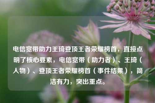 电信宽带助力王琦登顶王者荣耀榜首,直接点明了核心要素,电信宽带(助力者)、王琦(人物)、登顶王者荣耀榜首(事件结果),简洁有力,突出重点。