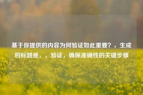 基于你提供的内容为何验证如此重要?,生成的标题是,,验证,确保准确性的关键步骤