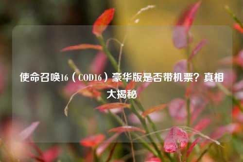 使命召唤16(COD16)豪华版是否带机票?真相大揭秘
