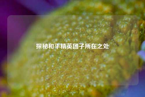 探秘和平精英团子所在之处