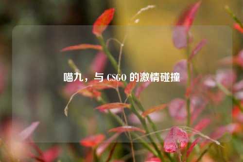 喵九,与 CSGO 的***碰撞