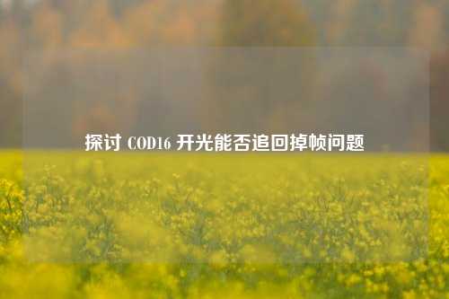 探讨 COD16 开光能否追回掉帧问题