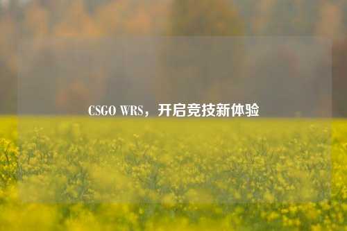CSGO WRS,开启竞技新体验